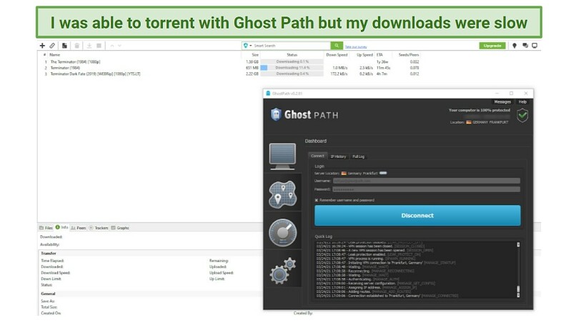 Torrenting — P2P Traffic Allowed but Worrying DMCA Policy