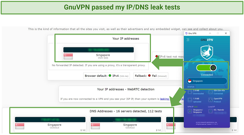 DNS, IP, and WebRTC